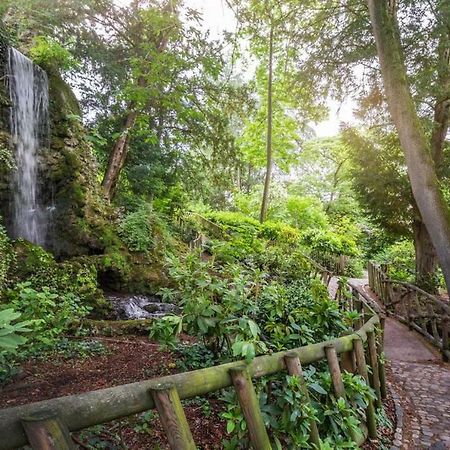 Calme Appart Renove Jardin Des Plantes Busca Toulouse Exterior photo