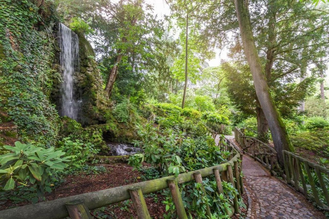 Calme Appart Renove Jardin Des Plantes Busca Toulouse Exterior photo